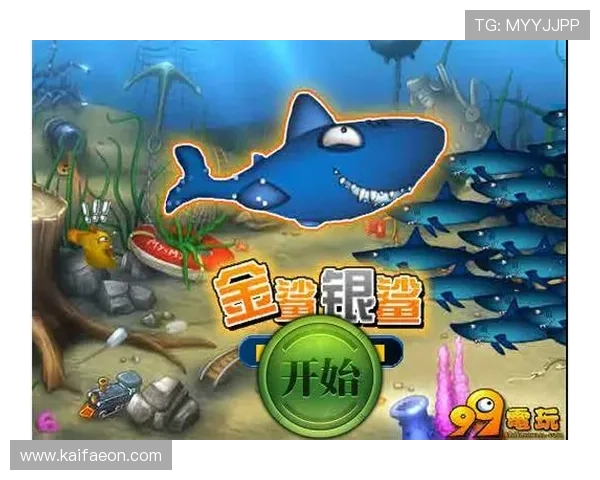 金鲨银鲨游戏中常见问题及解决方案详尽指南帮助新手快速上手