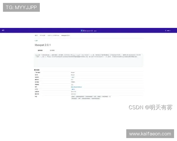凯发手机版登录线路安全保障措施介绍保障玩家账号安全的最佳实践